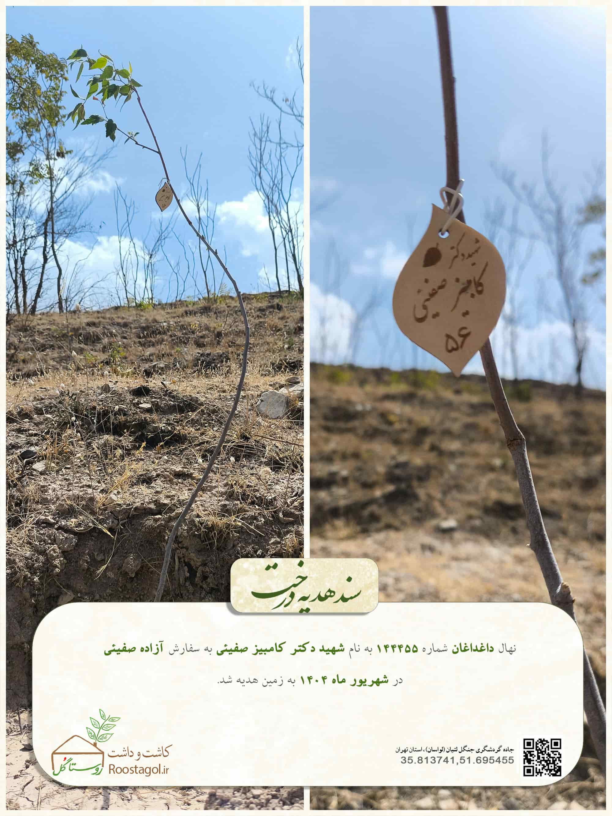 شهيد دكتر كامبيز صفيئى56